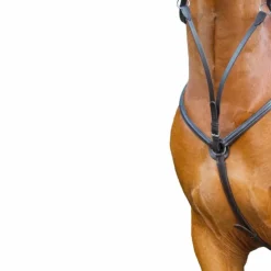 TdeT - Collier de chasse doublé havane foncé Outlet