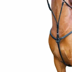 New TdeT - Collier de chasse doublé noir