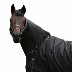 New TdeT - Couverture de pré Stretch Neck® /gris 300g Noir