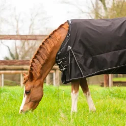 New TdeT - Couverture de pré Stretch Neck® /gris 300g Noir