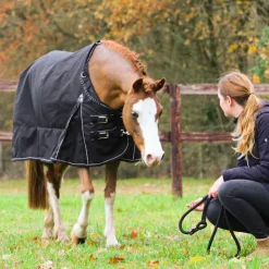 New TdeT - Couverture de pré Stretch Neck® /gris 300g Noir
