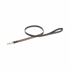 Outlet TdeT - Laisse pour chien strass havane foncé/ jaune Marron