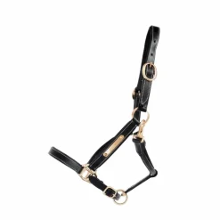 TdeT - Licol cuir avec plaque à graver noir Outlet