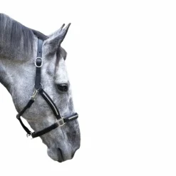 Best TdeT - Licol cuir clincher noir blanc