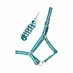 TdeT - Licol doublé avec longe Américaine turquoise/ gris Bleu Clearance