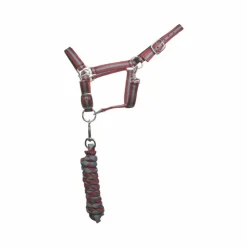 TdeT - Licol doublé avec longe Américaine / gris Bordeaux Online