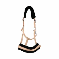 Best TdeT - Licol en nylon et mouton pêche/ noir Orange