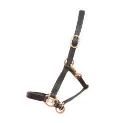 TdeT - Licol foal en cuir noir Discount