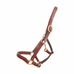 TdeT - Licol foal en cuir tabac Clearance