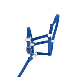 TdeT - Licol foal synthétique bleu roi Sale