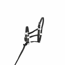 TdeT - Licol foal synthétique noir