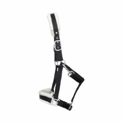 Online TdeT - Licol nylon et mouton / écru Noir