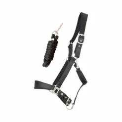 TdeT - Licol Satiné Doublé longe ronde assortie noir Hot