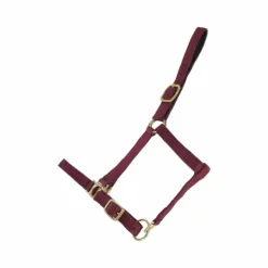 Discount TdeT - Licol synthétique doublé suédine Bordeaux