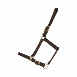 TdeT - Licol synthétique doublé suédine foncé Marron Hot