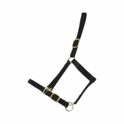 Best TdeT - Licol synthétique doublé suédine Noir