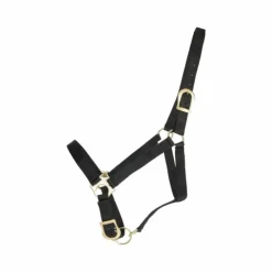 TdeT - Licol synthétique noir Outlet