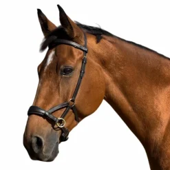 TdeT - Sidepull en cuir No More havane foncé Marron