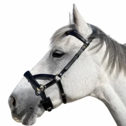 Best TdeT - Sidepull en cuir No More Noir