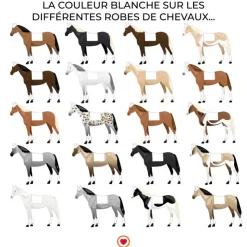 TdeT - Tapis anti-glisse épais