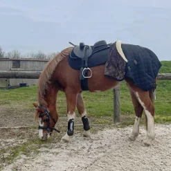 Outlet TdeT - Tapis de selle Thérèse Marron