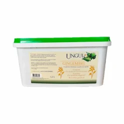Ungula Naturalis - Complément alimentaire digestif Gingembre Best