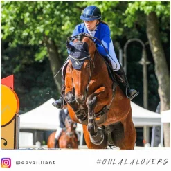 Veredus - Cloches Safety Bell Marron