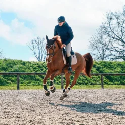 Veredus - Cloches Safety Bell Save the Sheep Noir Online