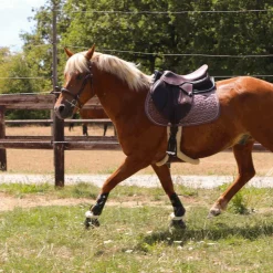 Veredus - Cloches Safety Bell Save the Sheep Noir Online