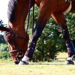 Veredus - Guêtres ouvertes Carbon Gel Vento Color Edition Noir/ Bordeaux x2 Best