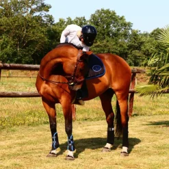 Veredus - Guêtres ouvertes Carbon Gel Vento Color Edition Noir/ Bleu x2 Hot