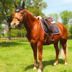 Discount Veredus - Guêtres ouvertes Carbon Gel Vento Marron x2