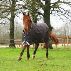 Online Veredus - Guêtres postérieurs TRC Vento High Noir