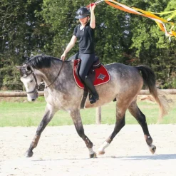 Best Veredus - Protège-boulets Olympus Vento Marron