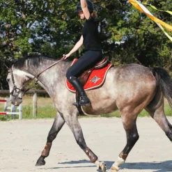 Best Veredus - Protège-boulets Olympus Vento Marron