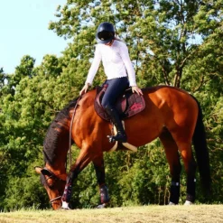 Veredus - Tapis de Selle Color Edition / Bordeaux Noir Clearance