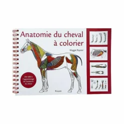 Vigot - Anatomie du cheval à colorier Hot
