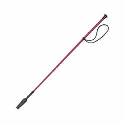 Best Whip&Go - Cravache Twist 65 cm